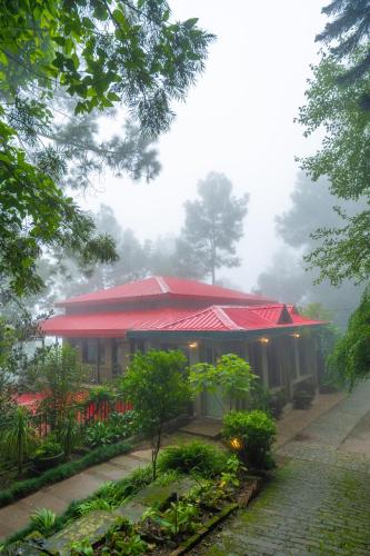 ama stays and trails 7 pines kasauli