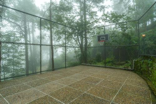 ama stays and trails 7 pines kasauli