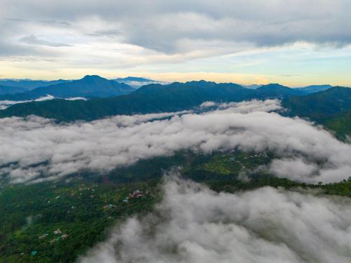ama stays and trails 7 pines kasauli