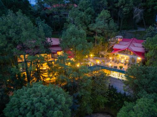 ama stays and trails 7 pines kasauli