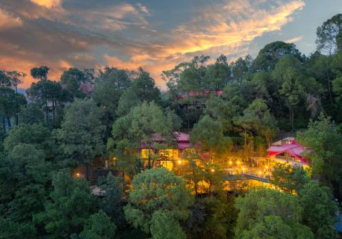 ama stays and trails 7 pines kasauli