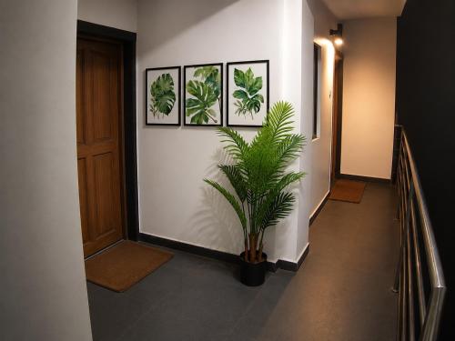 Casa Amancio,,3 star