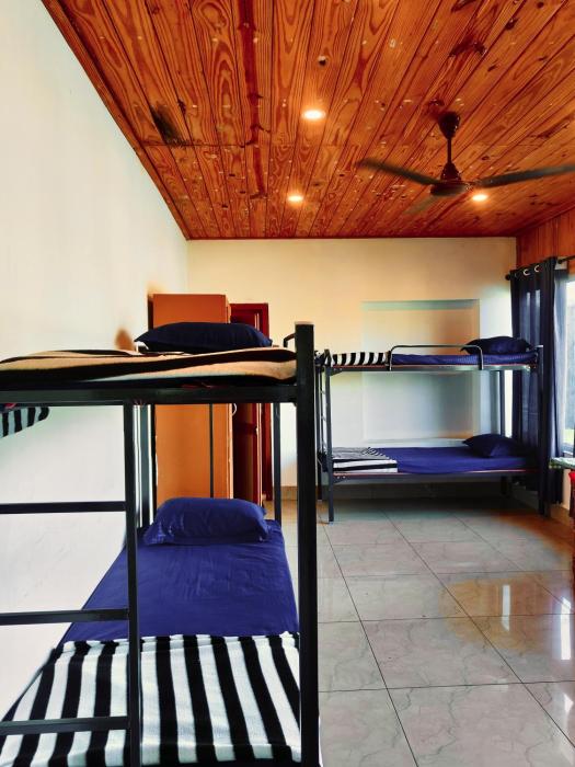 louis backpackers hostel