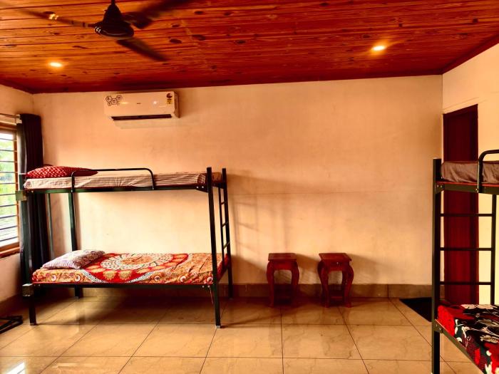 louis backpackers hostel