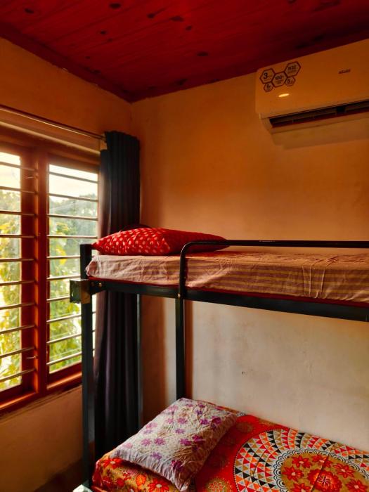 louis backpackers hostel