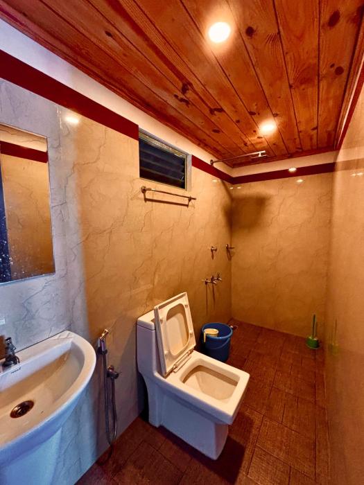 louis backpackers hostel