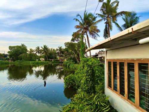 louis backpackers hostel