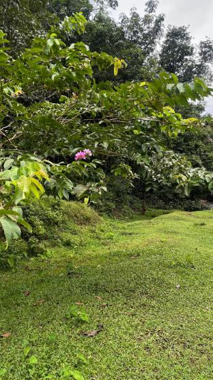 gavi paradise homestay