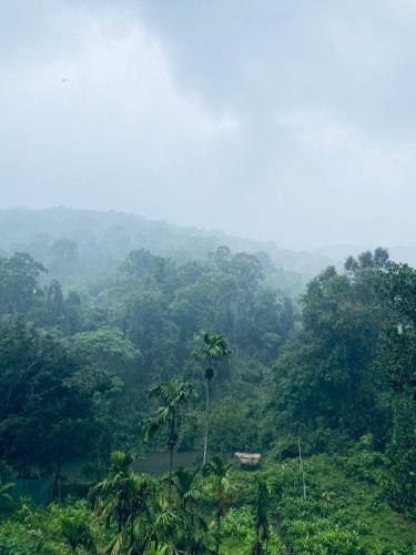 gavi paradise homestay
