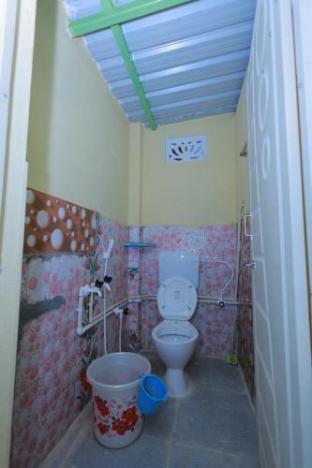 msn homestay