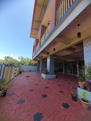 vruksha stayinn