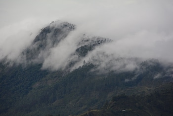 peak and pillow