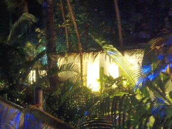 urban mad villas and studio