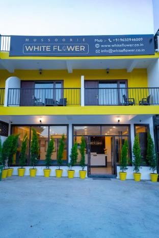 white flower hill retreat