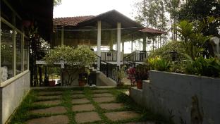 rajvilas homestay