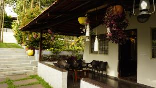 rajvilas homestay