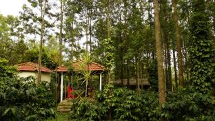 rajvilas homestay