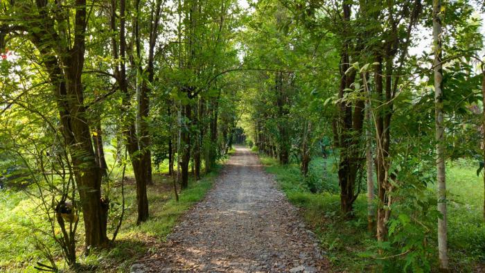 seclude karthika nivas thrissur