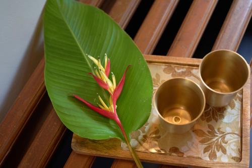 seclude karthika nivas thrissur
