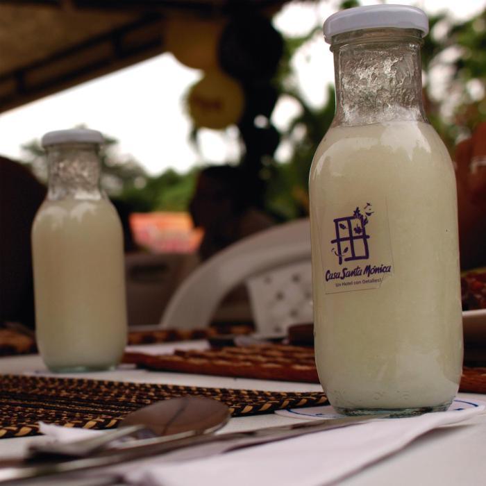 hotel casa santa monica norte