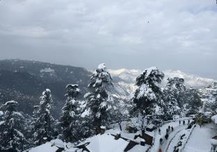 anandam near mall road