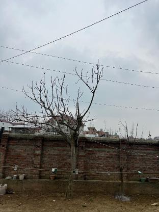 Home Sleeper Homestay Srinagar Jammu And Kashmir ,,2 star