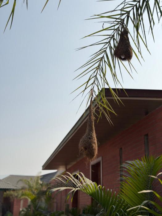 the bhagwati cottage and villa