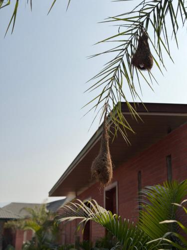 the bhagwati cottage and villa