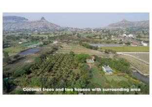 green living farm house and farm villa