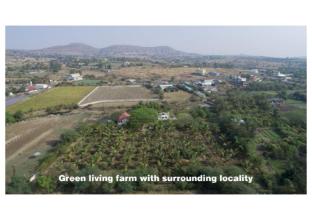 green living farm house and farm villa
