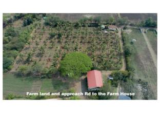 green living farm house and farm villa