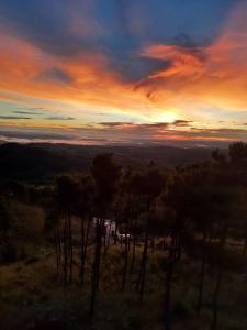 hills abode homestay