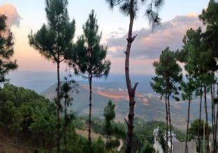 hills abode homestay