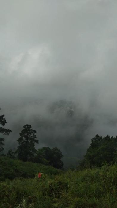 hills abode homestay