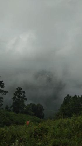 hills abode homestay