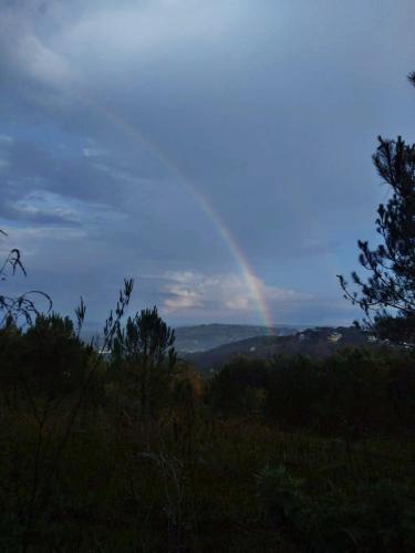hills abode homestay