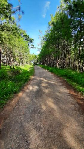 hills abode homestay