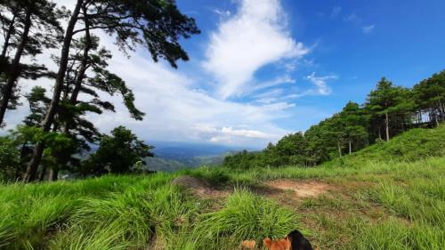 hills abode homestay