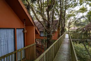 kings flora luxury organic farmresort