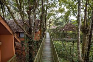kings flora luxury organic farmresort