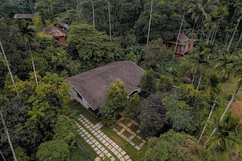 kings flora luxury organic farmresort