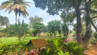 serene homestay
