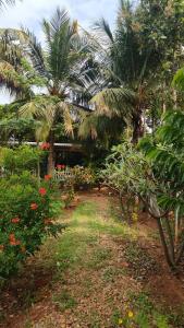 serene homestay