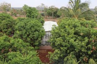 serene homestay