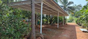 serene homestay