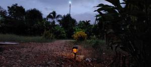serene homestay