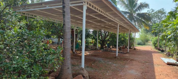 serene homestay