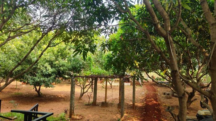 serene homestay