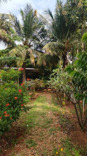 serene homestay
