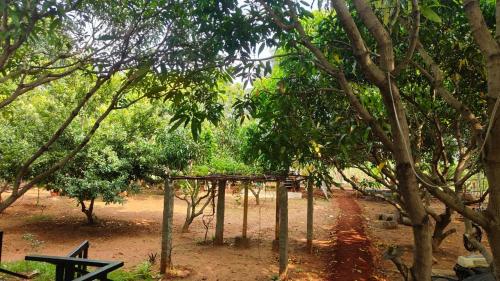 serene homestay